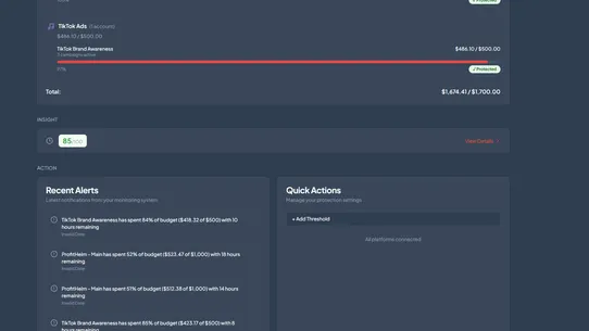 Ad Spend Guardian screenshot