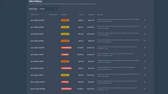 Ad Spend Guardian screenshot
