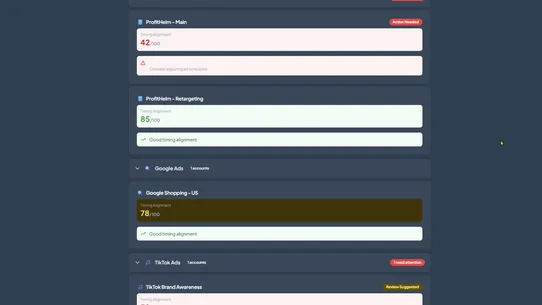 Ad Spend Guardian screenshot