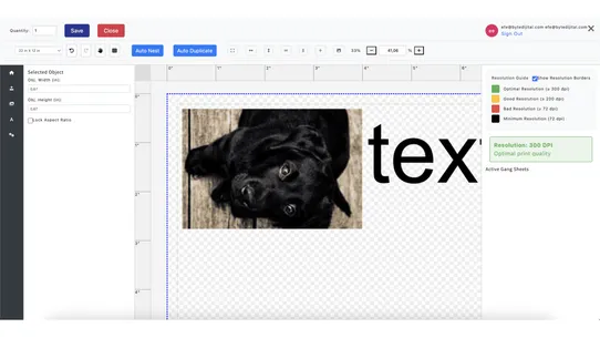 Custom Gang Sheet App screenshot