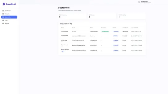 Amalia.ai screenshot