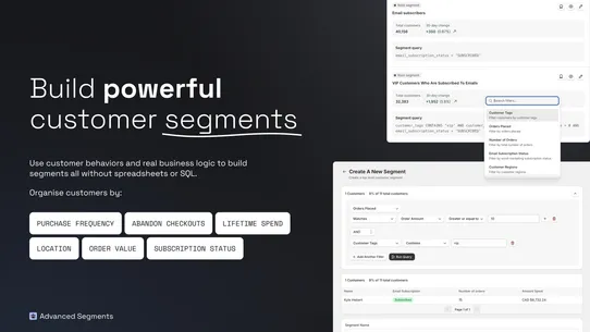 Advanced Customer Segments screenshot