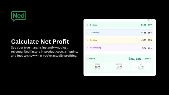 Ned AI ‑ Profit Analytics screenshot