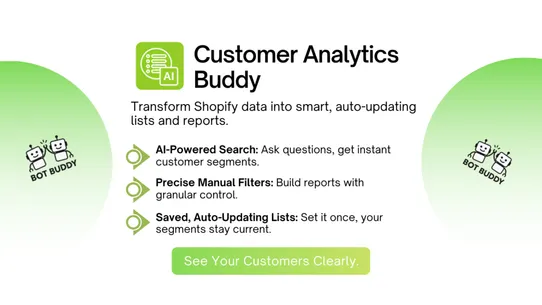 Customer Analytics Buddy screenshot