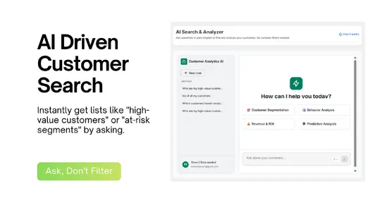 Customer Analytics Buddy screenshot