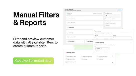 Customer Analytics Buddy screenshot