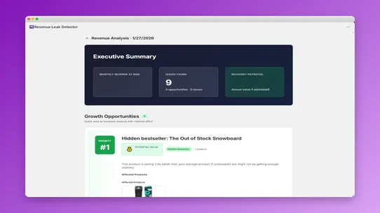 Revenue Leak Detector screenshot
