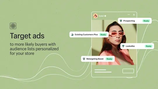 Shopify Audiences screenshot