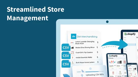 DM: Product Import screenshot