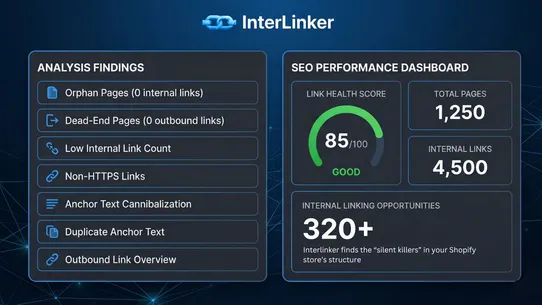 Interlinker ‑ SEO Link Audit screenshot