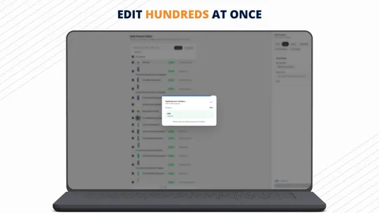 BL Bulk Product Edit screenshot