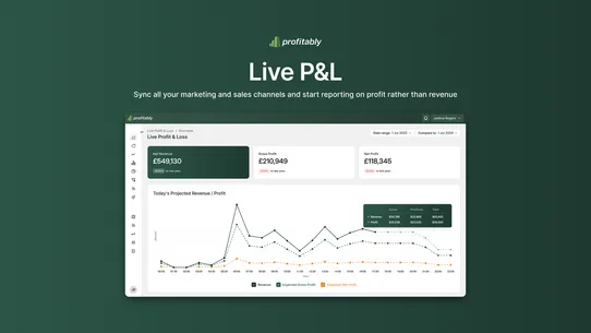 Profitably Finance Dashboard screenshot