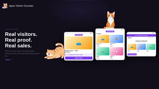 Apex Visitor Counter screenshot