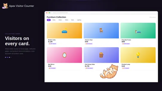 Apex Visitor Counter screenshot