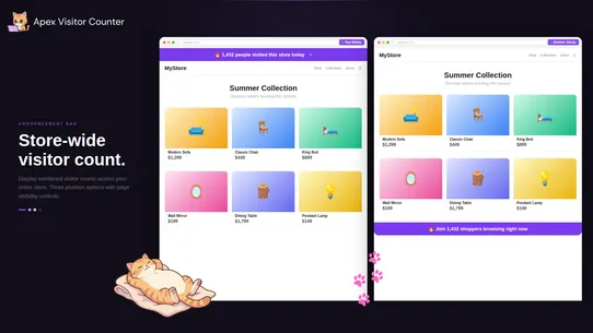 Apex Visitor Counter screenshot