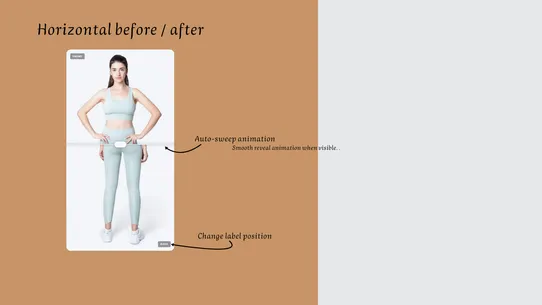 TSP Before/After Slider screenshot