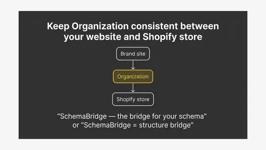 AP SchemaBridge screenshot