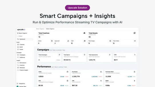 Upscale AI (CTV Analytics) screenshot