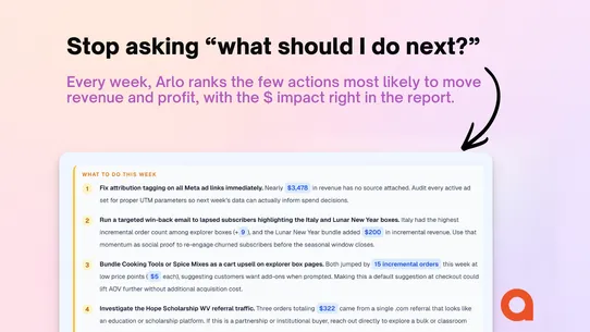 Arlo: Your 20 Minute AI CMO screenshot