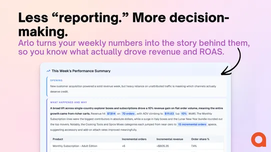 Arlo: Your 20 Minute AI CMO screenshot