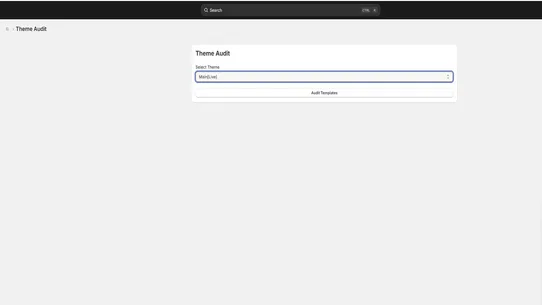 Moptix Theme Audit screenshot