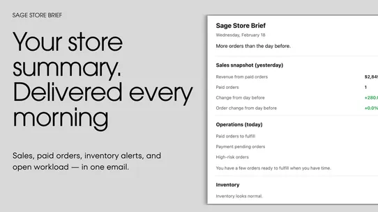 Sage Store Brief screenshot
