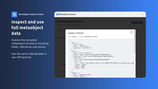 Metaobject Search &amp; Filter screenshot