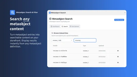 Metaobject Search &amp; Filter screenshot