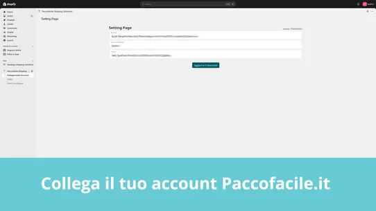 Paccofacile Shipping Solutions screenshot