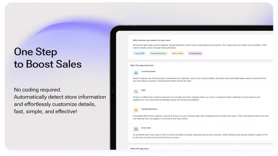 Local Business Schema screenshot