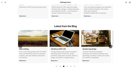 Tidykit WP Blog Feed screenshot