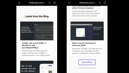 Tidykit WP Blog Feed screenshot