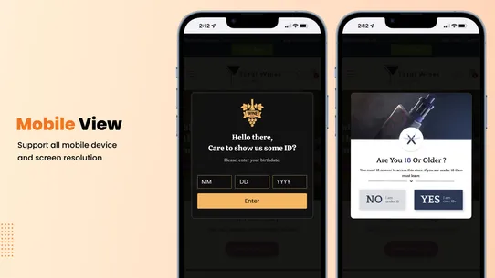 Smart Age Verification Popup screenshot