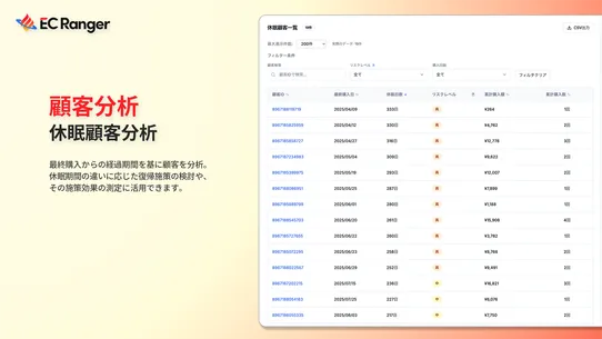 EC Ranger screenshot