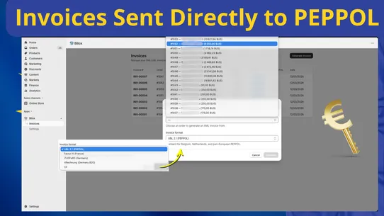 Bilox ‑ EU e‑invoicing ‑ VIDA screenshot