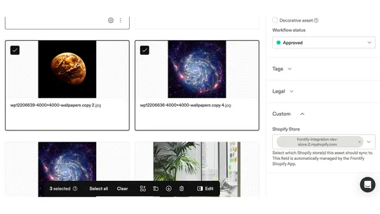 Frontify screenshot