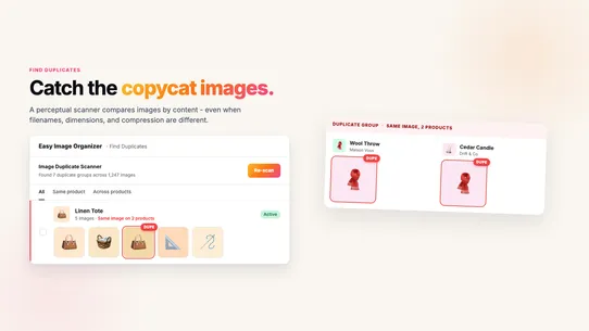 Easy Image Organizer screenshot