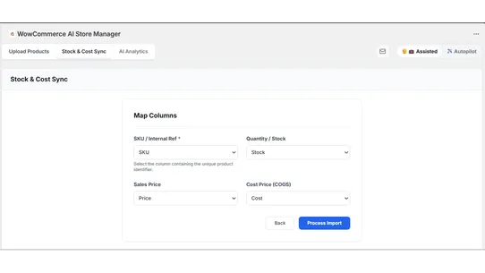 WowCommerce AI Store Manager screenshot