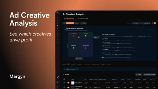 Margyn: Profit &amp; LTV Analytics screenshot