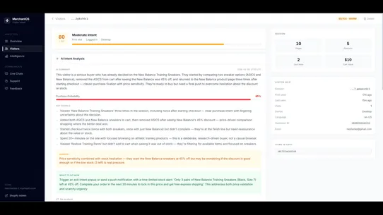 MerchantOS : Visitor Intent screenshot