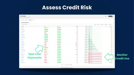 Net Vantage: B2B Credit &amp; A/R screenshot