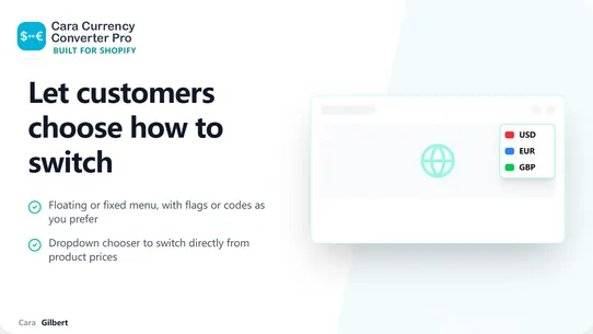 Cara Currency Converter Pro screenshot
