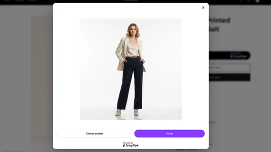 SnapStyle screenshot