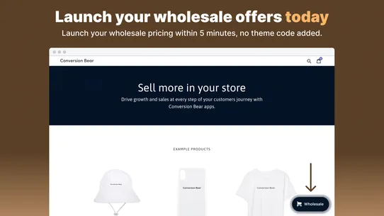 Wholesale Bear ‑ Bulk Discount screenshot