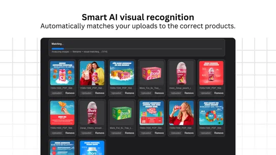 VisualFlow: Bulk AI Image Swap screenshot