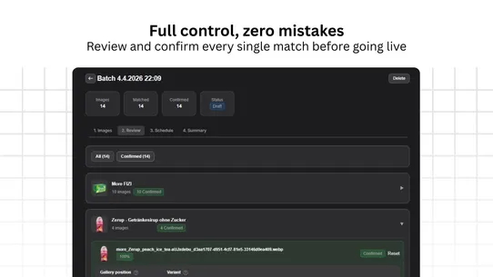 VisualFlow: Bulk AI Image Swap screenshot