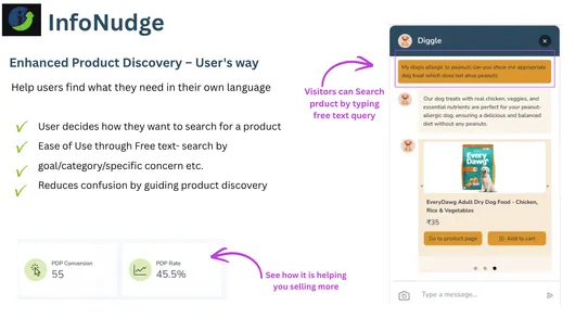 InfoNudge ‑ AI sales assistant screenshot