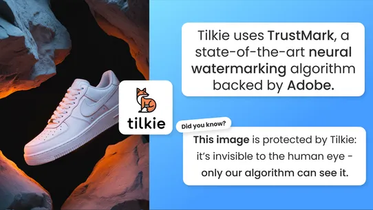 Tilkie ‑ Image Protection screenshot