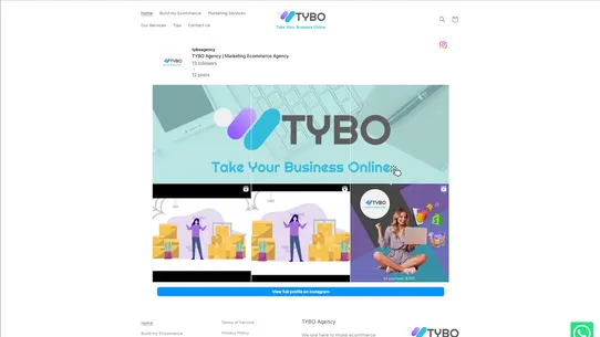TYBO InstaEmbed screenshot