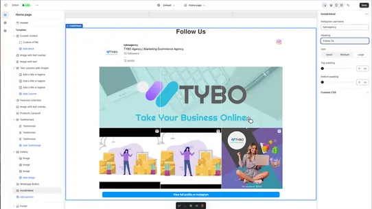 TYBO InstaEmbed screenshot